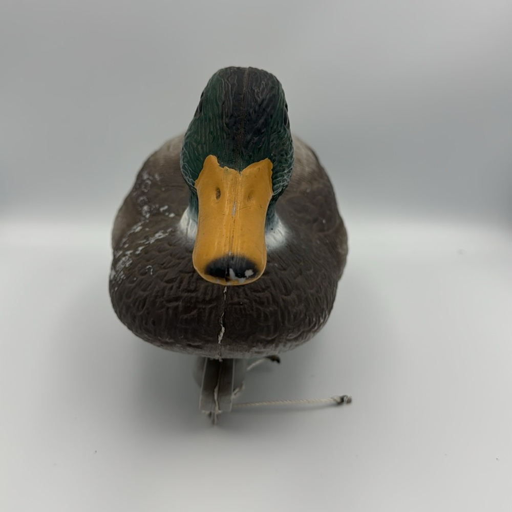 Handpainted Male Mallard Plastic Decoy Duck‎ 17” - Picture 5 of 10